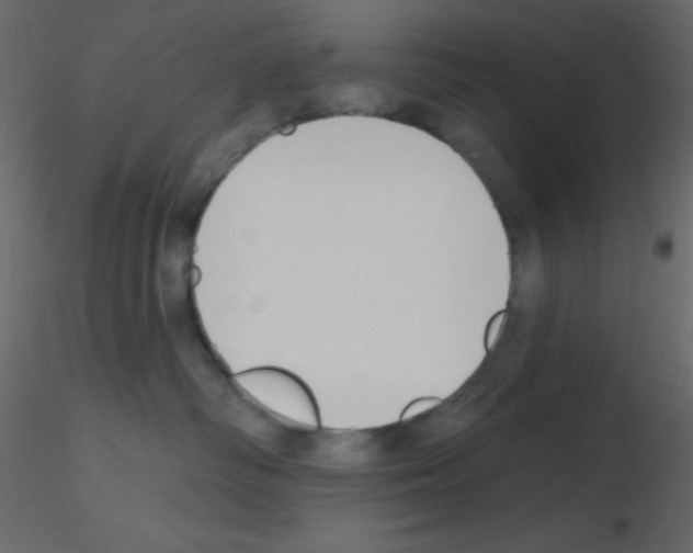 X0000115770334200912241755
