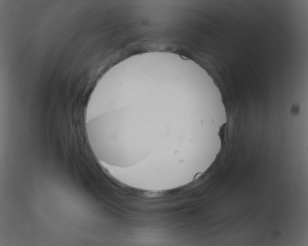 X0000115770335200912241755