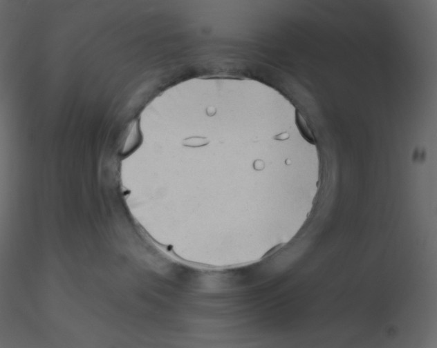X0000115770336200912241755