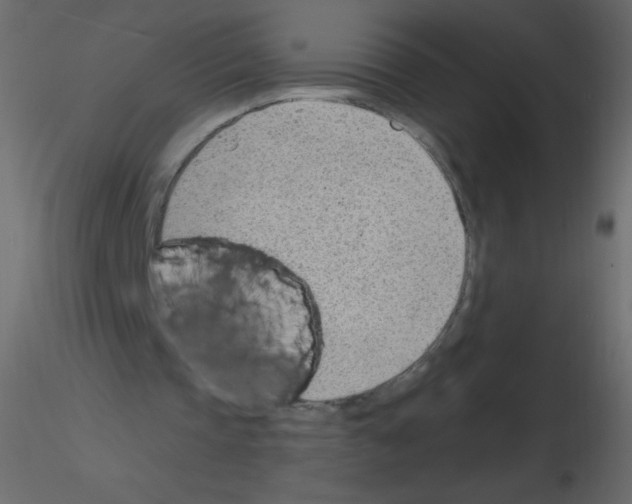X0000115770337200912241754