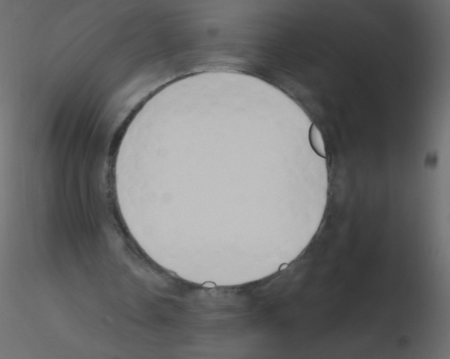 X0000115770338200912241754