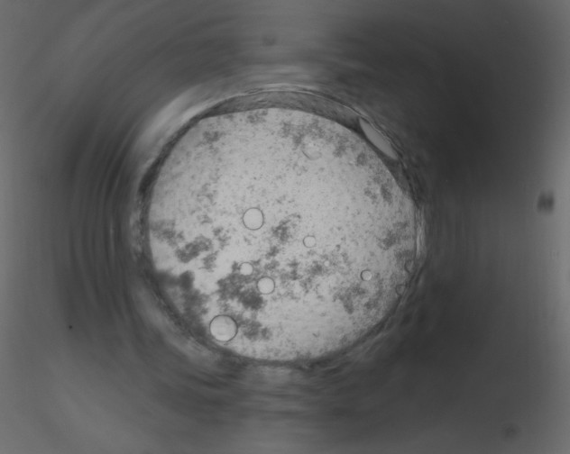 X0000115770339200912241754
