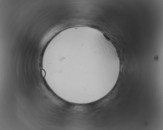 X0000115770341200912241754