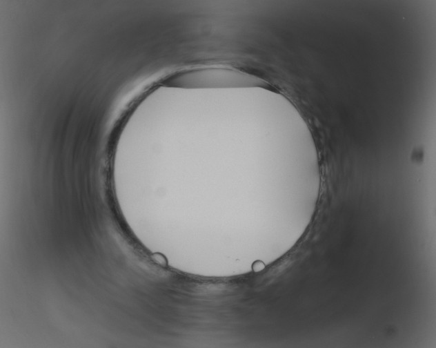 X0000115770342200912241754