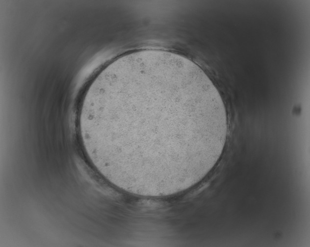 X0000115770343200912241754