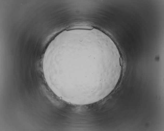 X0000115770345200912241754