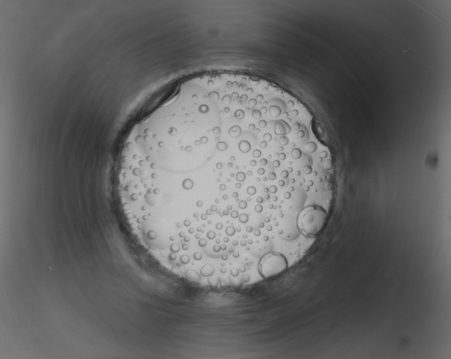 X0000115770346200912241754