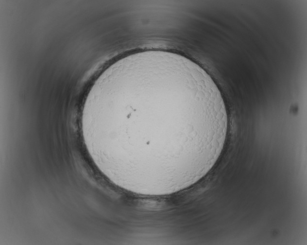 X0000115770347200912241754