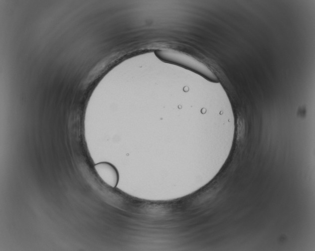 X0000115770349200912241754
