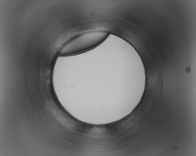 X0000115770350200912241754