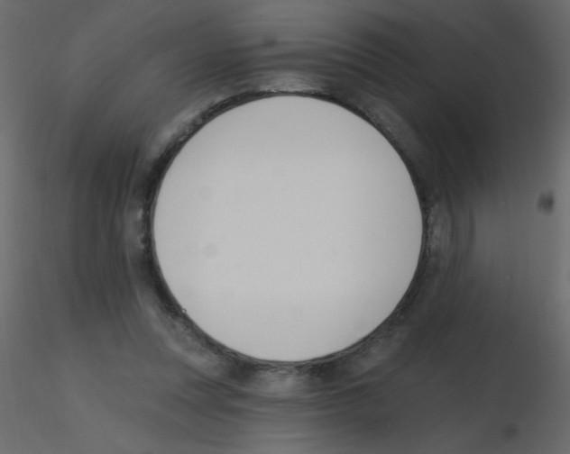X0000115770351200912241754