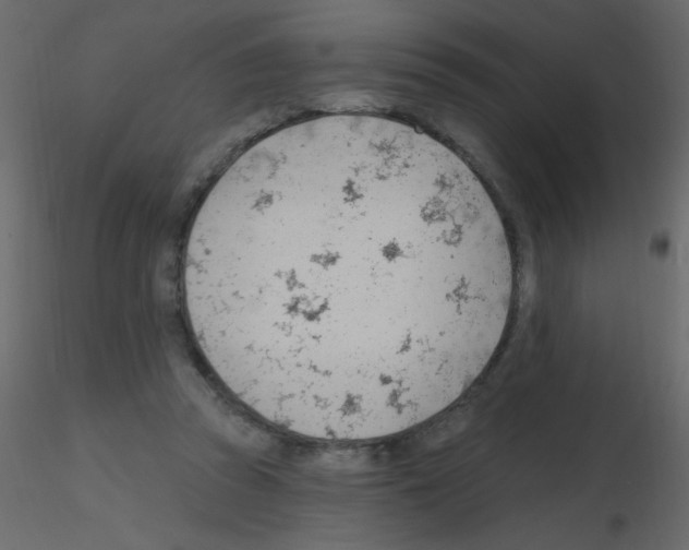 X0000115770353200912241754