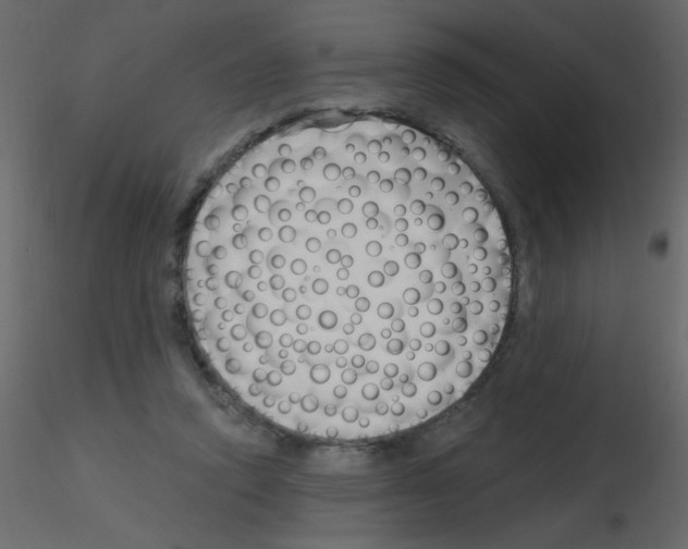 X0000115770354200912241754