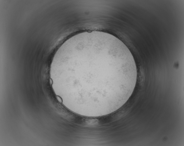 X0000115770355200912241754