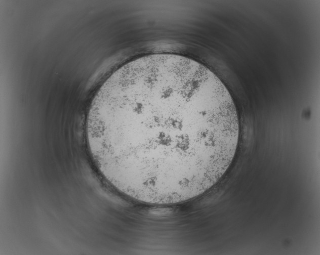 X0000115770357200912241754