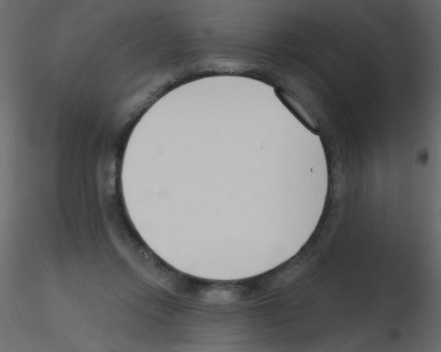 X0000115770358200912241754