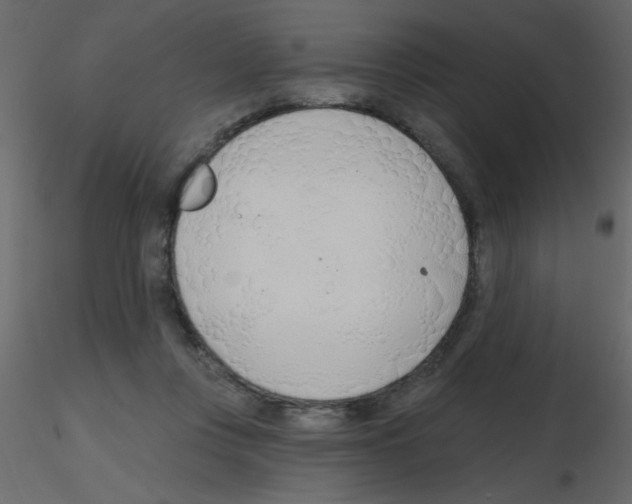 X0000115770359200912241754