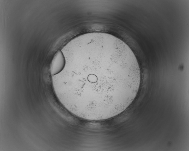 X0000115770361200912241754
