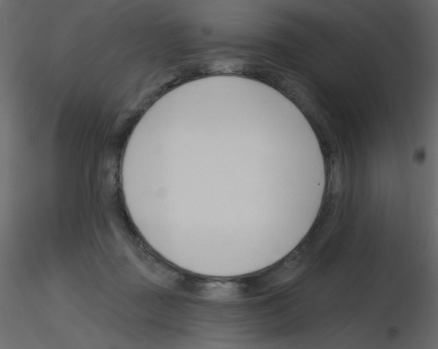 X0000115770363200912241755