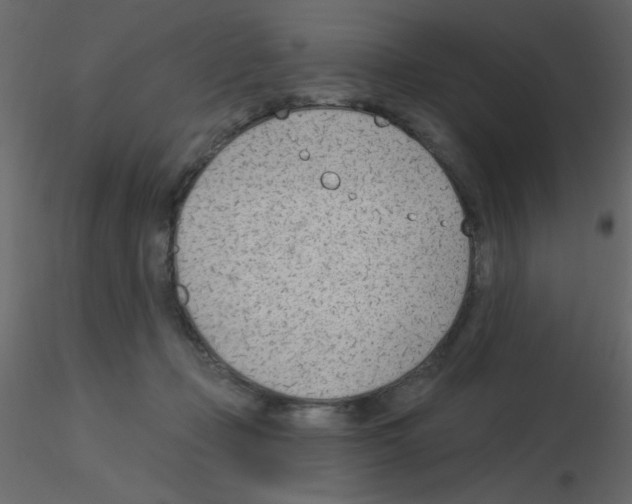 X0000115770365200912241755