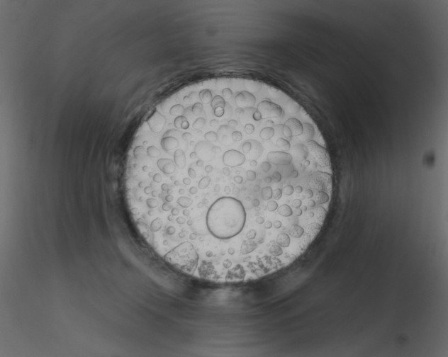 X0000115770366200912241755