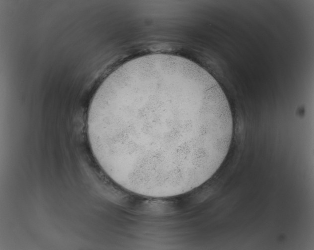 X0000115770367200912241755