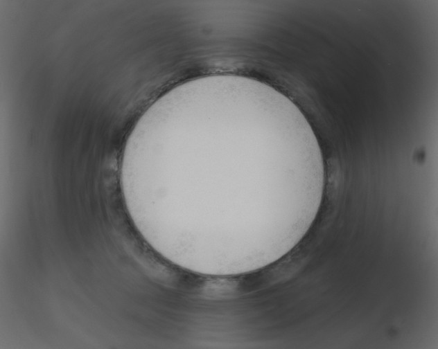 X0000115770369200912241755