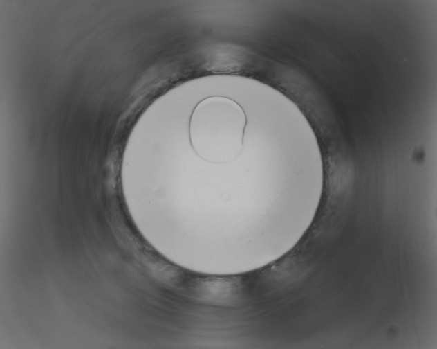 X0000115770370200912241755