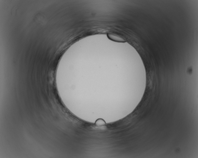 X0000115770374200912241755