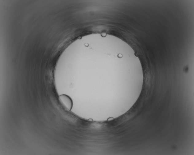 X0000115770375200912241755