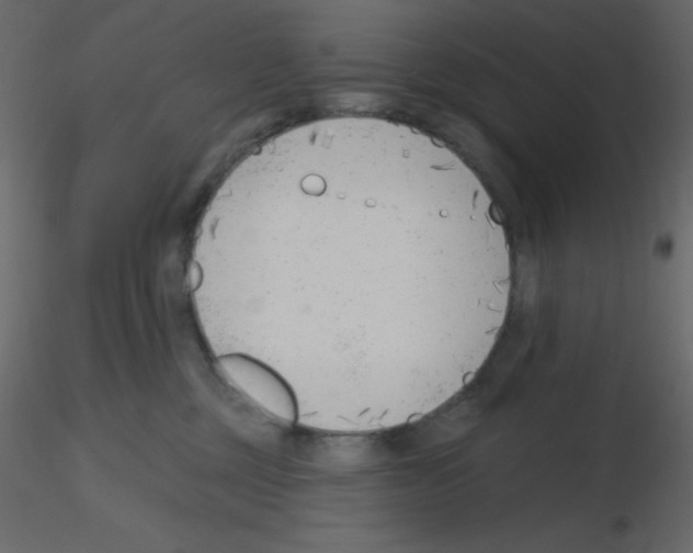 X0000115770377200912241755