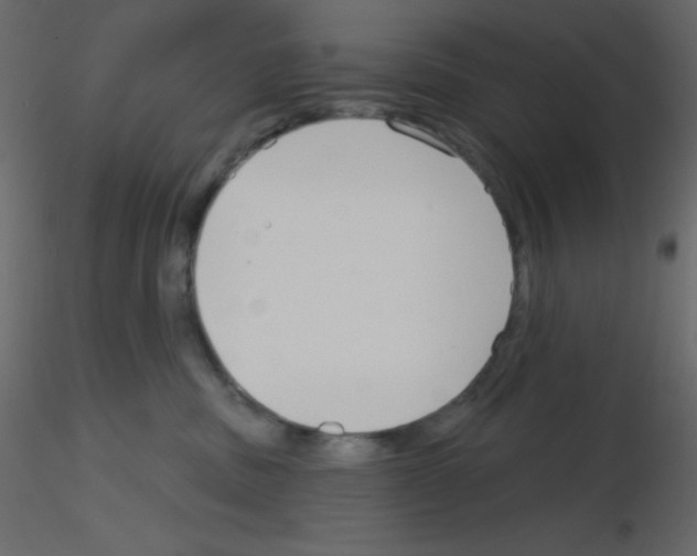 X0000115770379200912241755