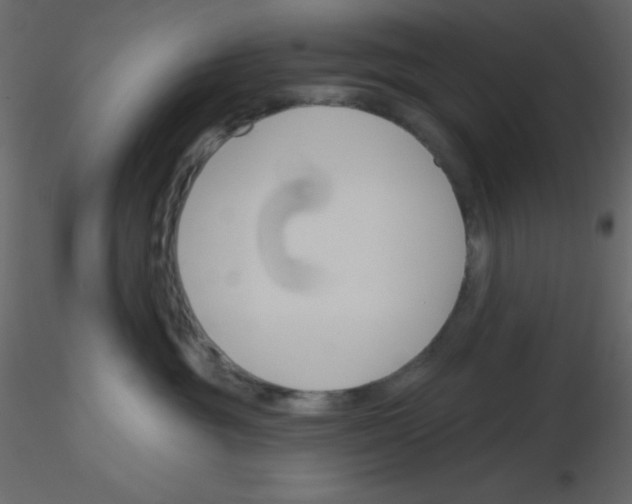 X0000115770381200912241755