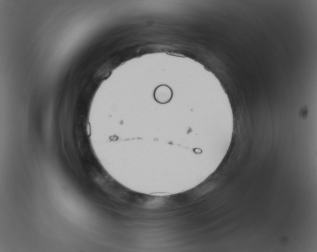 X0000115770382200912241755