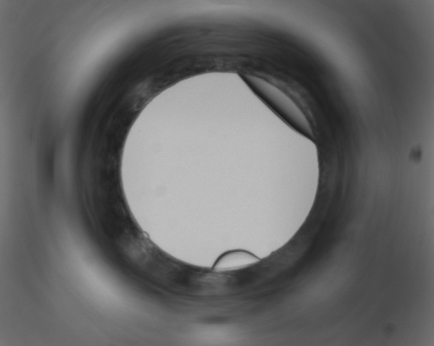 X0000115770383200912241755