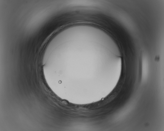X0000115770387200912241754