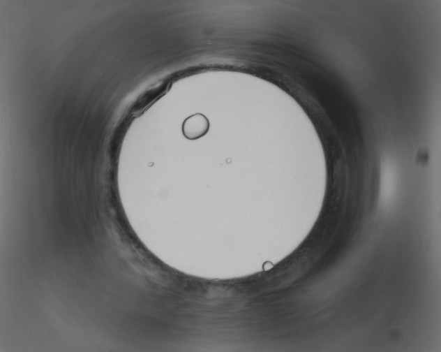 X0000115770388200912241754
