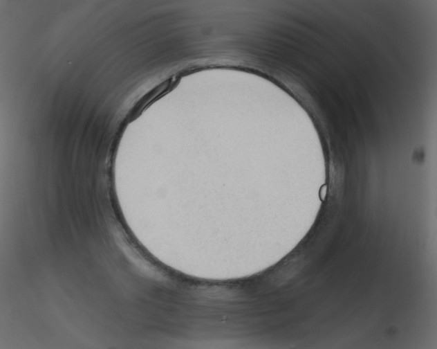 X0000115770389200912241754