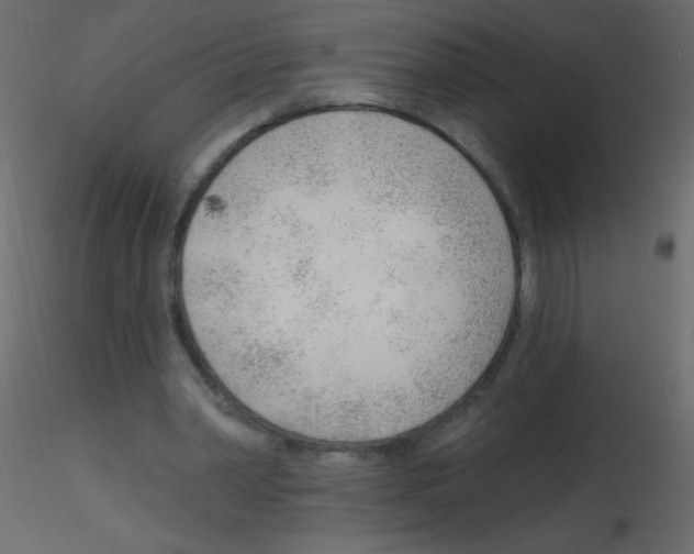 X0000115770390200912241754