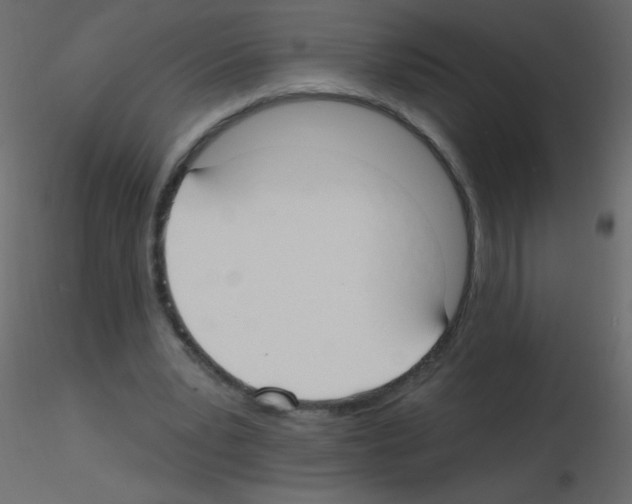 X0000115770391200912241754