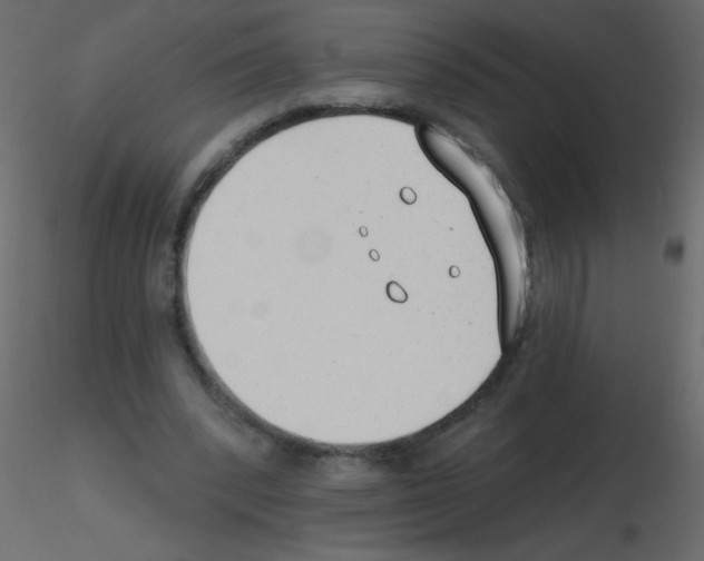 X0000115770392200912241754