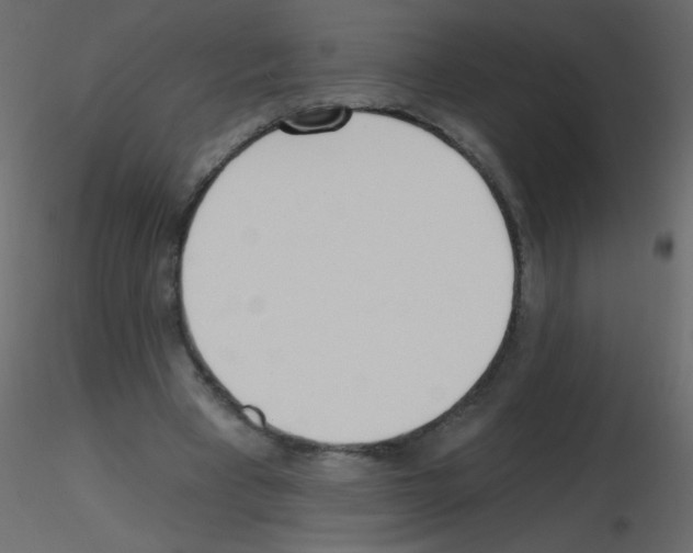 X0000115770393200912241754