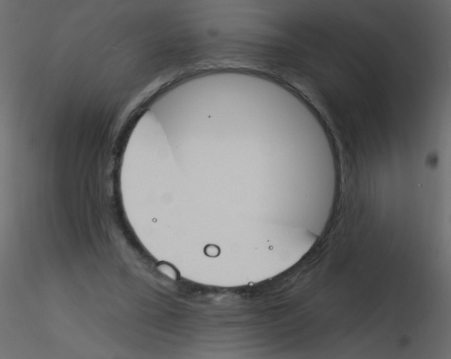 X0000115770395200912241754