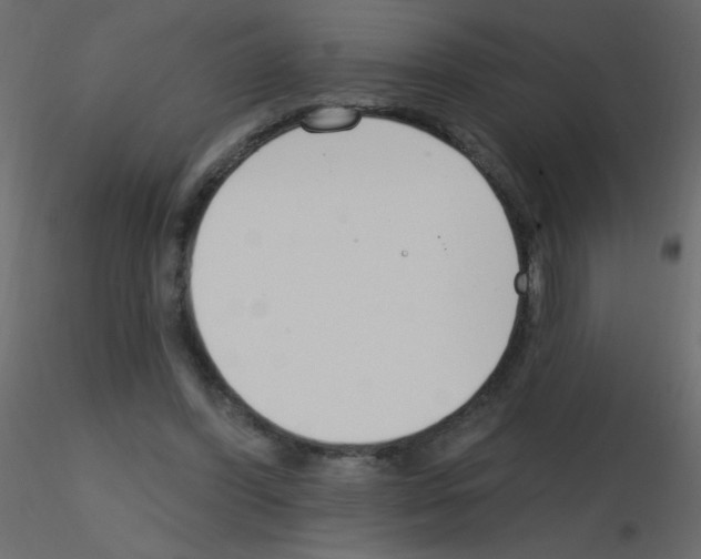 X0000115770396200912241754