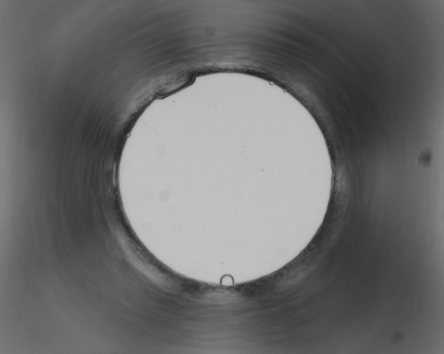 X0000115770397200912241754