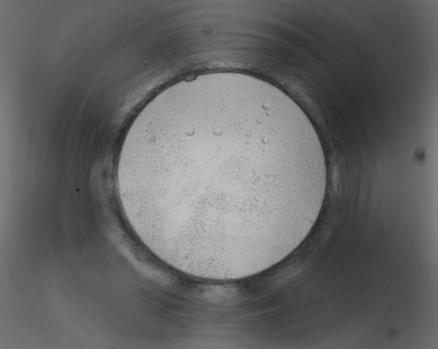 X0000115770398200912241754
