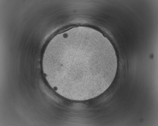 X0000115770399200912241754