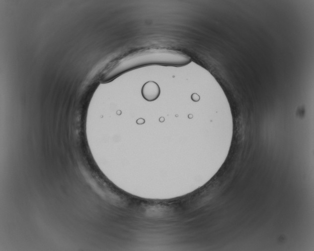 X0000115770400200912241754