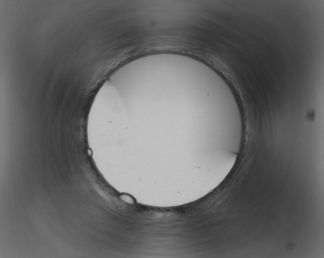 X0000115770401200912241754