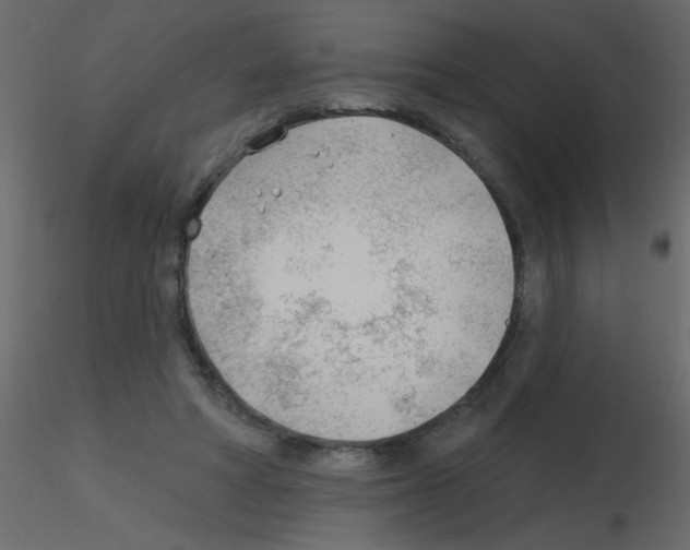 X0000115770402200912241754